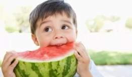 娱乐圈吃瓜系统沙雕动画,沙雕动画里的欢乐与泪点